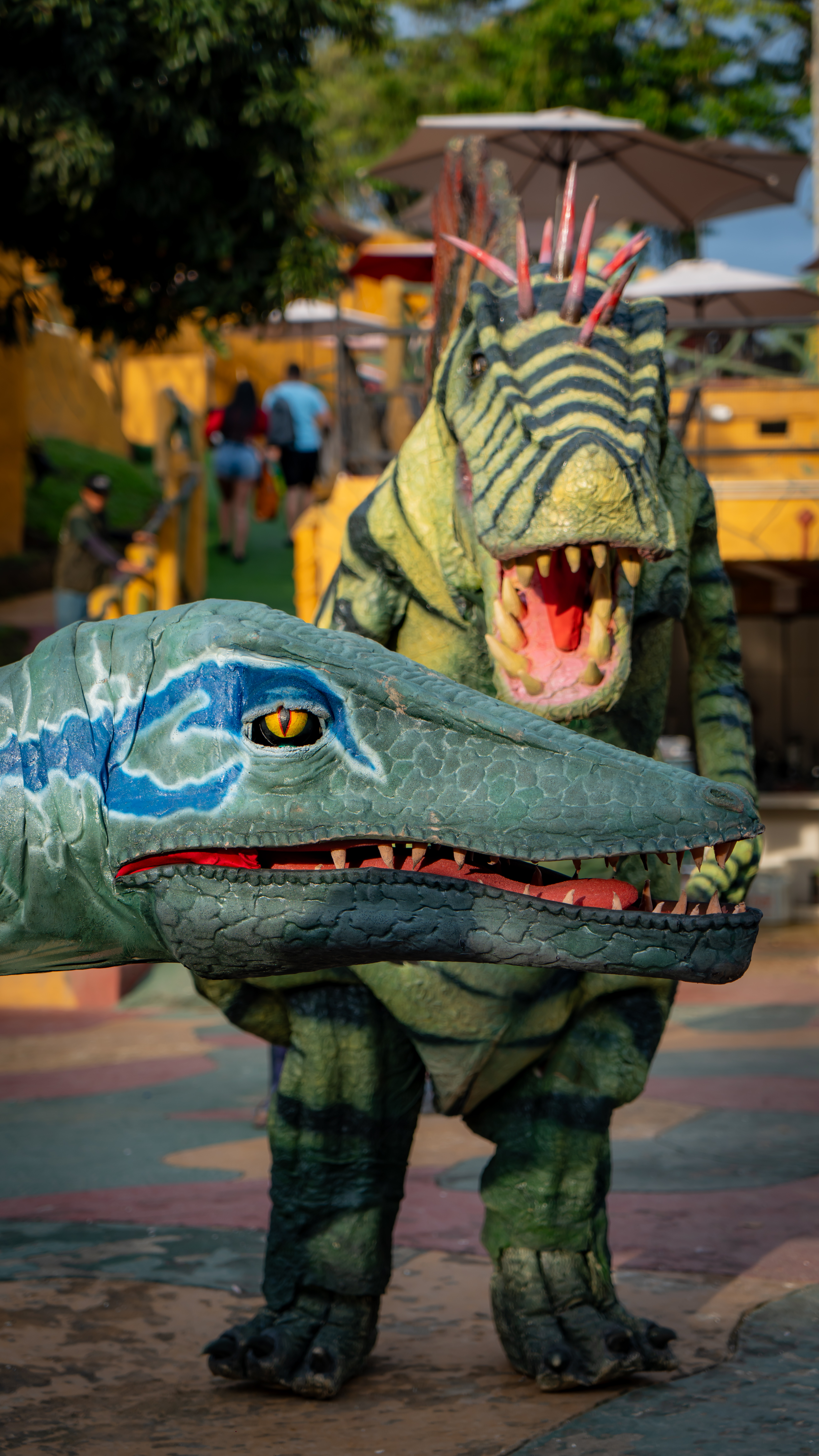 Galeria Parque El Yarumo