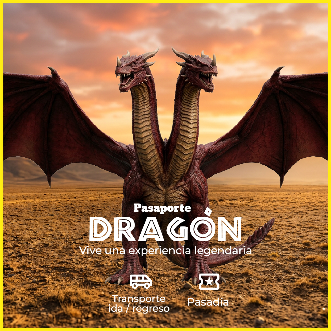 Pasaporte Dragon