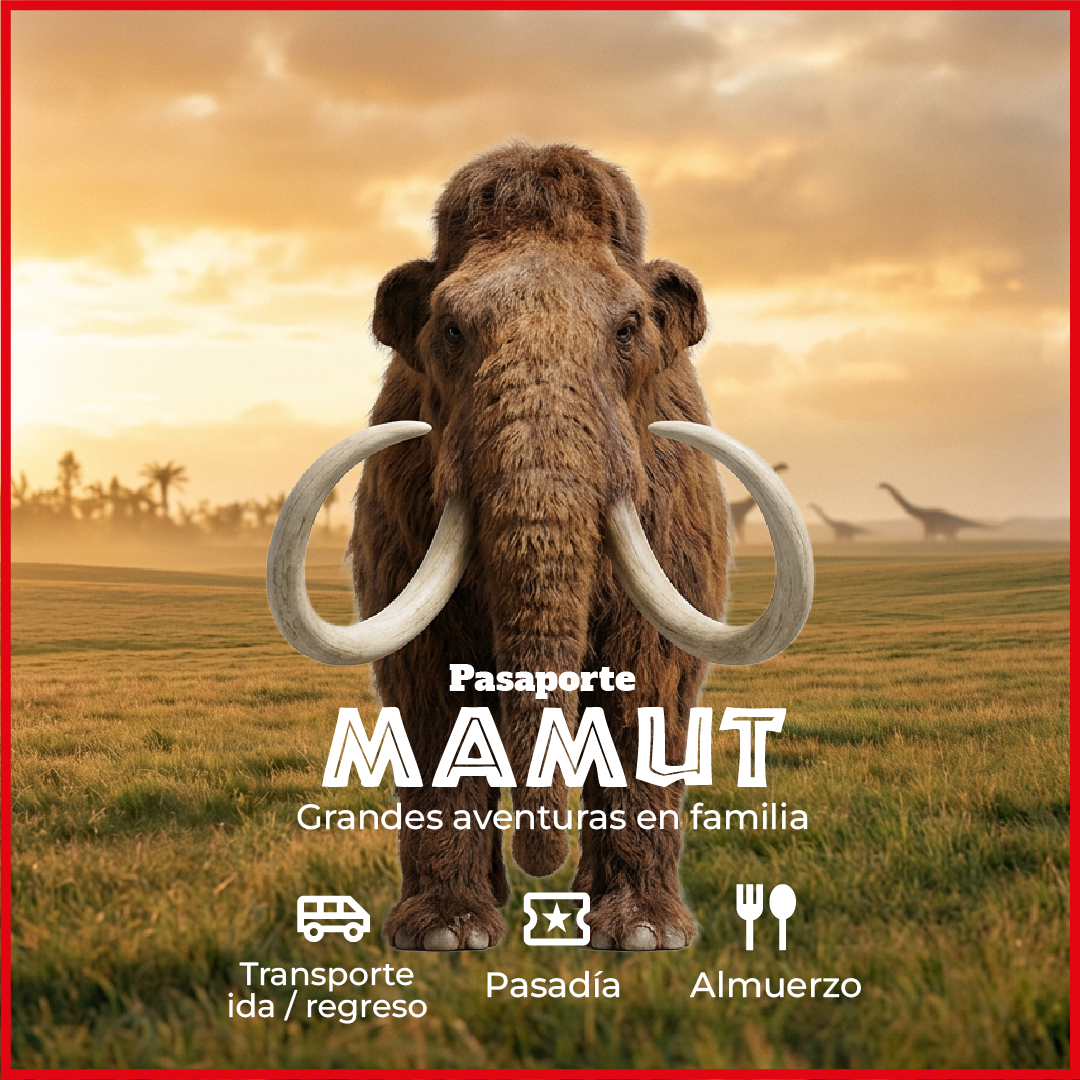 Pasaporte Mamut